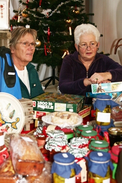 Kerstplein